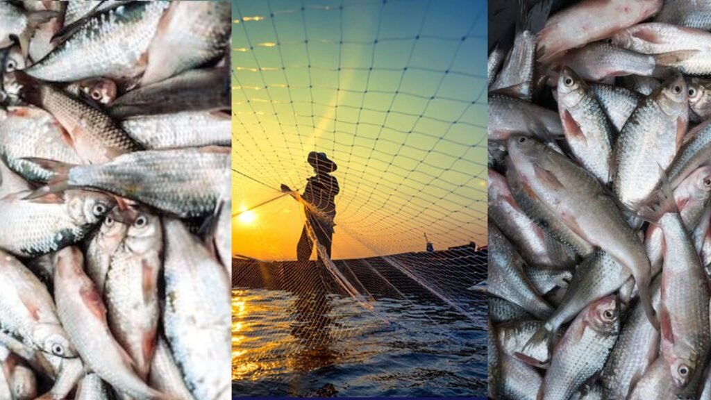 Assembleia Legislativa do Espírito Santo debate desafios da pesca capixaba e outros projetos