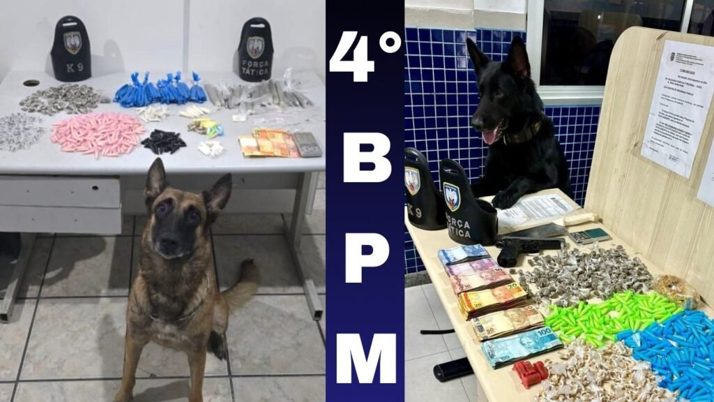 Operação da Polícia Militar apreende grande quantidade de drogas em dois bairros do município de Vila Velha