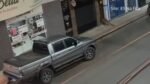 Onça-parda é resgatada após tentar entrar em lojas no Centro de Iconha