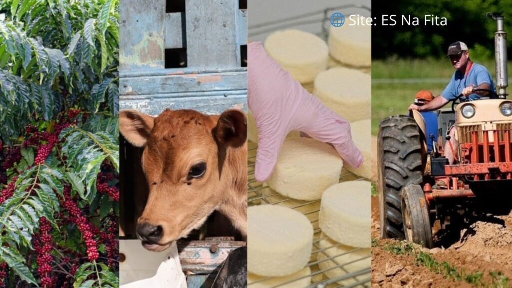 ES bate recorde de crédito rural na safra 2024/2025 com alta de 23,6%
