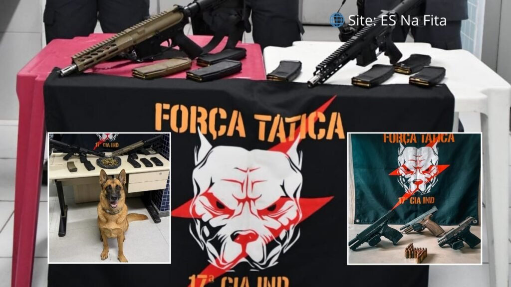 Polícia Militar apreende fuzis e pistolas em bairros de Vila Velha