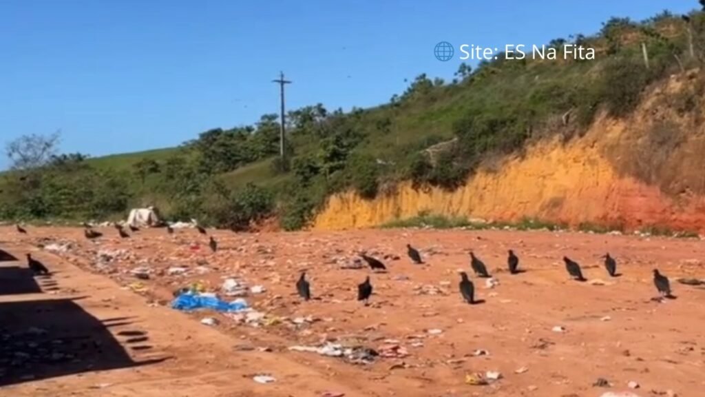 Briga por recicláveis termina com catador assassinado a tiros em Itapemirim