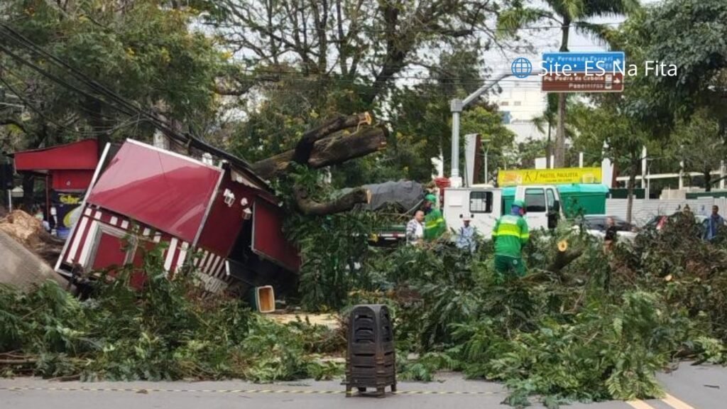 Árvore cai sobre foodtruck durante ventania em Vitória e causa prejuízo de R$ 80 mil