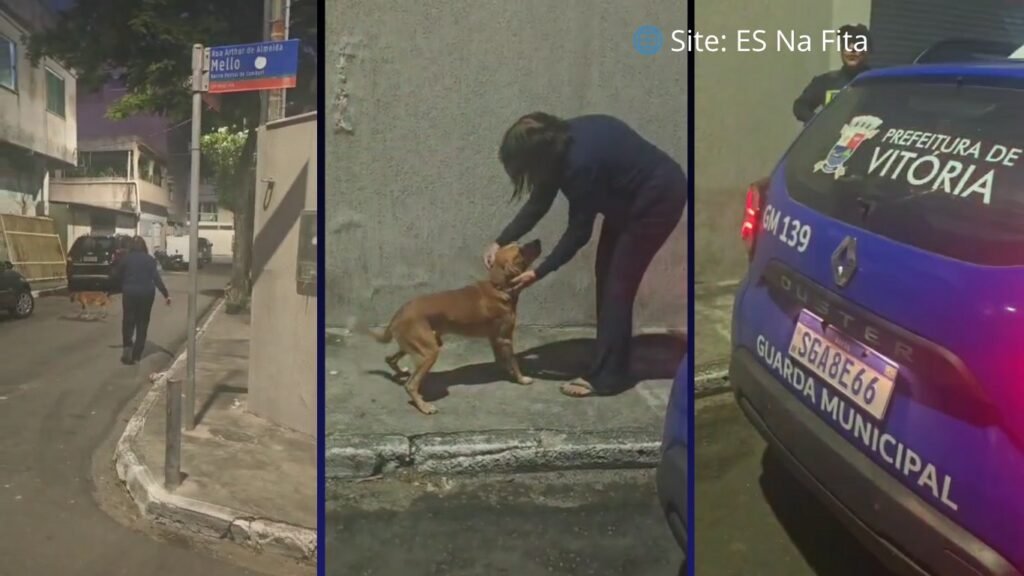 Missão caramelo: Guarda de Vitória encontra cachorro perdido e emociona ao devolvê-lo à tutora