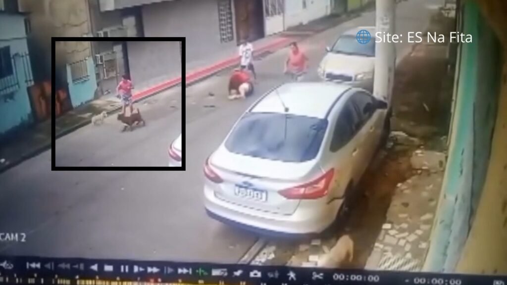 Vídeo mostra mulher e cachorro sendo atacados por pitbull na Serra