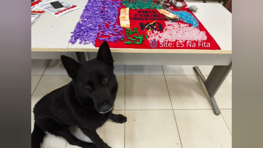 Polícia Militar prende dois homens e cão policial encontra diversas drogas em Afonso Cláudio