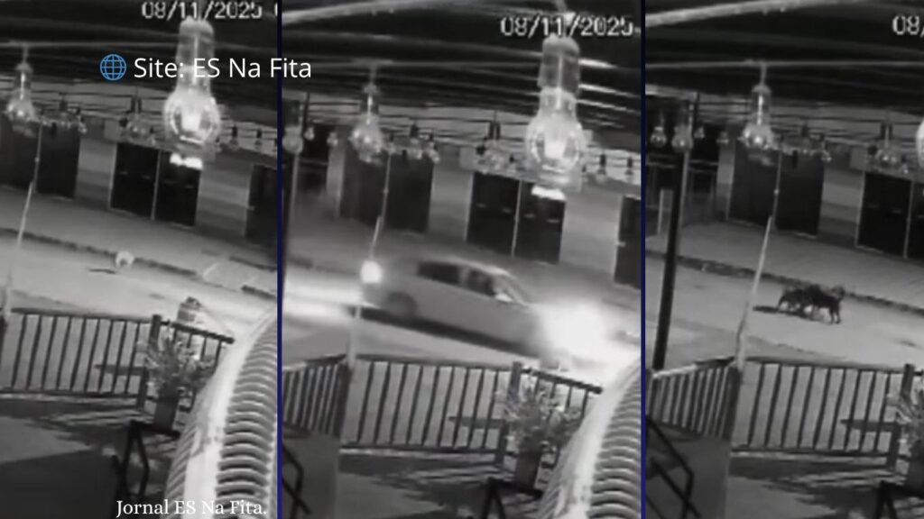 Vídeo mostra motorista de carro atirando em cachorro no ES