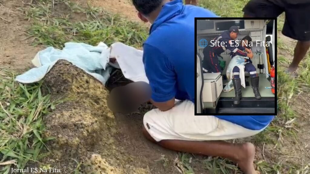 Jovem de 19 anos suspeita de abandonar bebê em mata é identificada em São Mateus