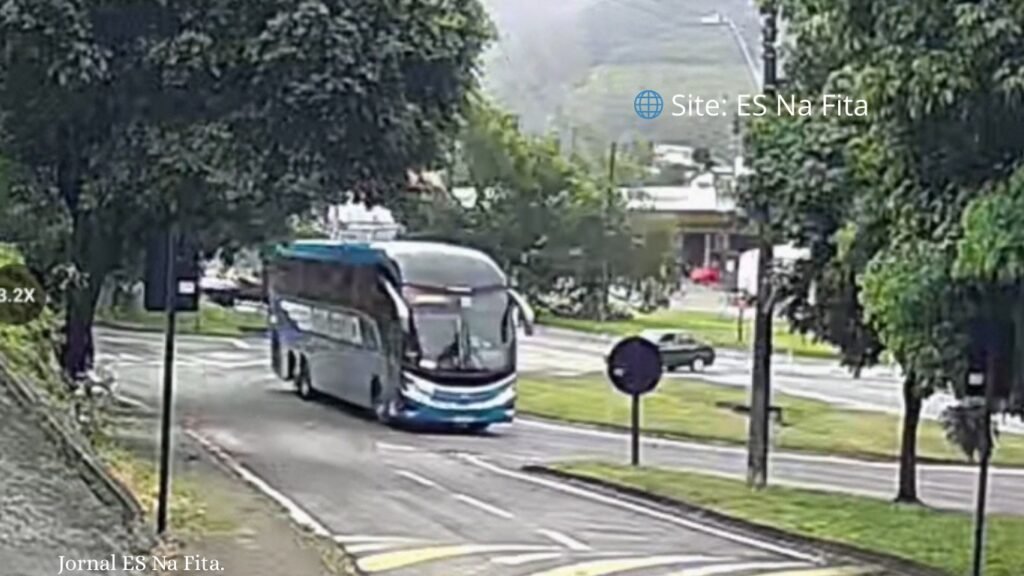 BR-101 é interditada após queda de árvore em João Neiva