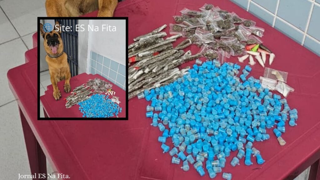 PM apreende crack, maconha, cocaína e haxixe em Vila Velha