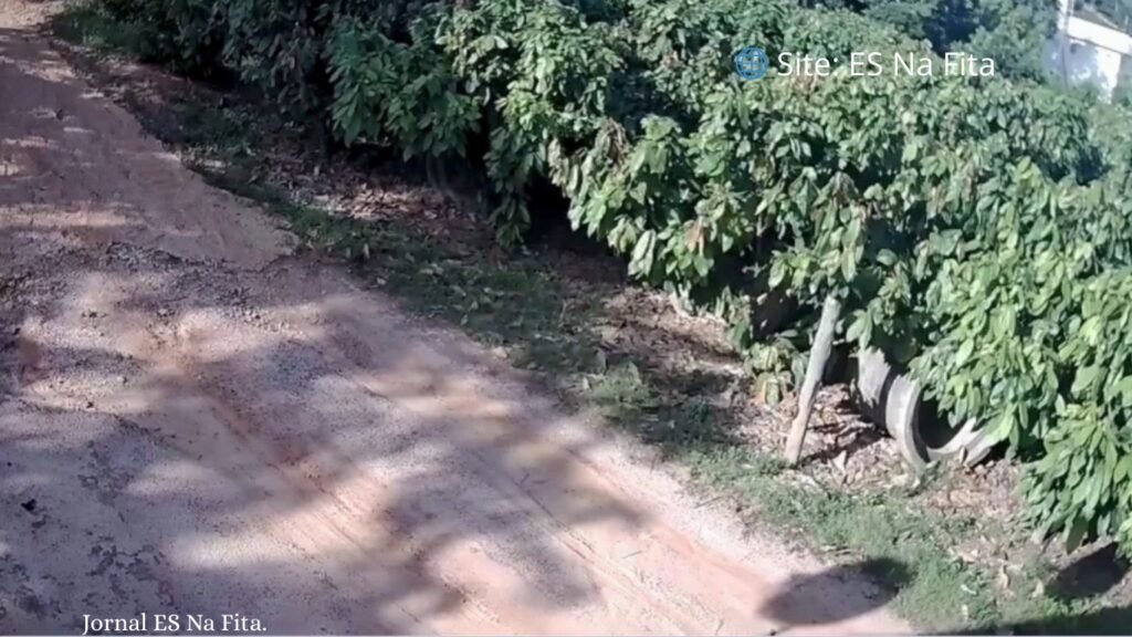 Homem é morto a tiros em plantação de cacau no Noroeste do ES