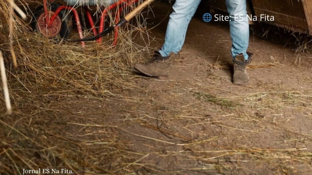 Homem é assassinado com golpes de foice ao cobrar dívida de R$ 150 no ES