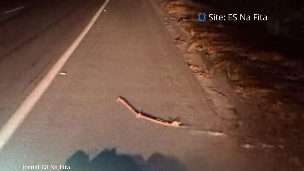 Jovem é encontrado morto com marcas de tiros na BR 101, em Jaguaré