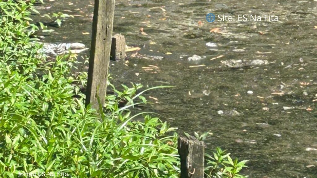 Corpo é encontrado dentro de valão com mãos amarradas em Vila Velha Corpo é encontrado com as mãos amarradas em valão de Vila Velha.