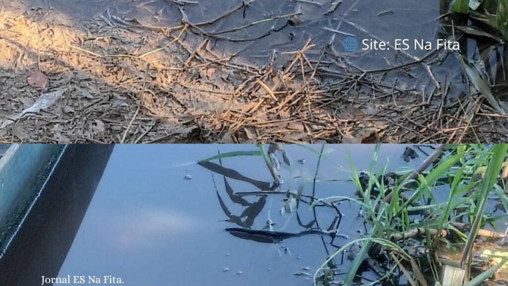 Corpo de pescador desaparecido é encontrado boiando em rio no Sul do ES Corpo de pescador desaparecido é encontrado em rio em Itapemirim.