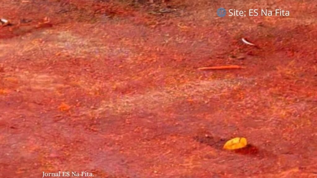 Mulher fica gravemente ferida após ser agredida e torturada por criminosos em Colatina.