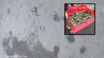 Tiroteio deixa moradores assustados em bairro de Vila Velha.