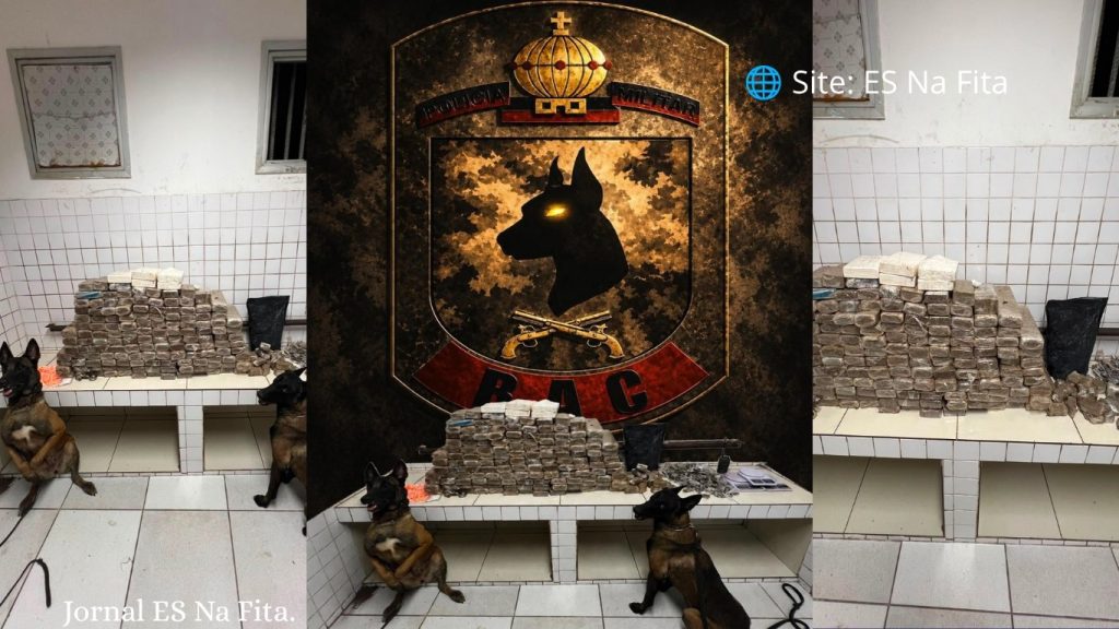 Polícia Militar apreende 140 tabletes de maconha com ajuda de cães na Serra.