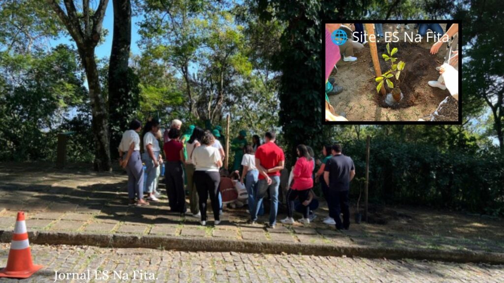 Plantio de ipês-amarelos reforça educação ambiental na Fonte Grande.