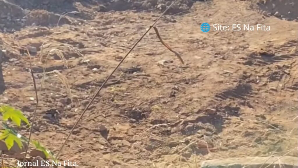 Mistério: corpo em decomposição é encontrado na Serra Corpo em decomposição é encontrado em Jacaraípe, na Serra.