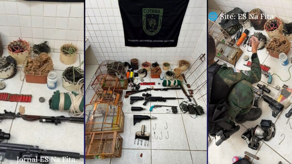 Vídeo: Polícia Militar Ambiental faz grande apreensão de armas e equipamentos de caça na Serra Polícia Militar Ambiental apreende armas, munições, equipamentos de caça e aves silvestres em Serra.