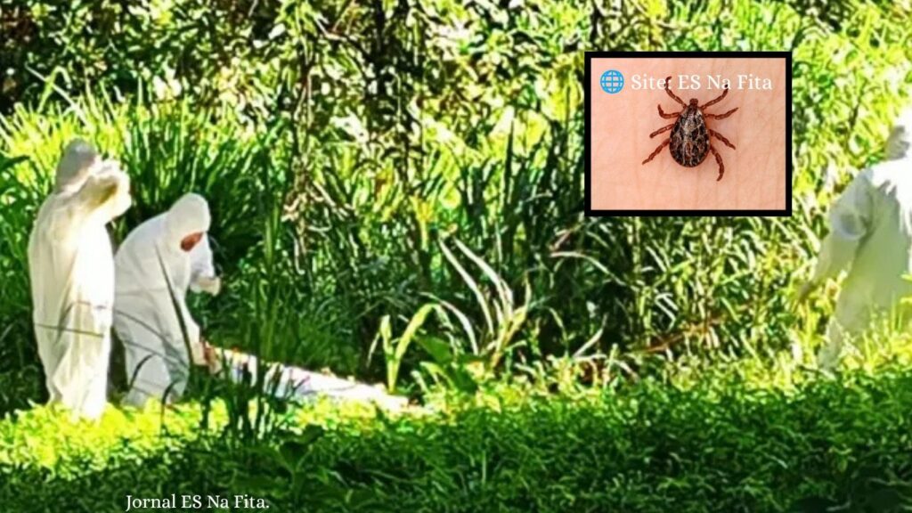 Mimoso do Sul investiga oito casos de febre maculosa após duas mortes pela doença.