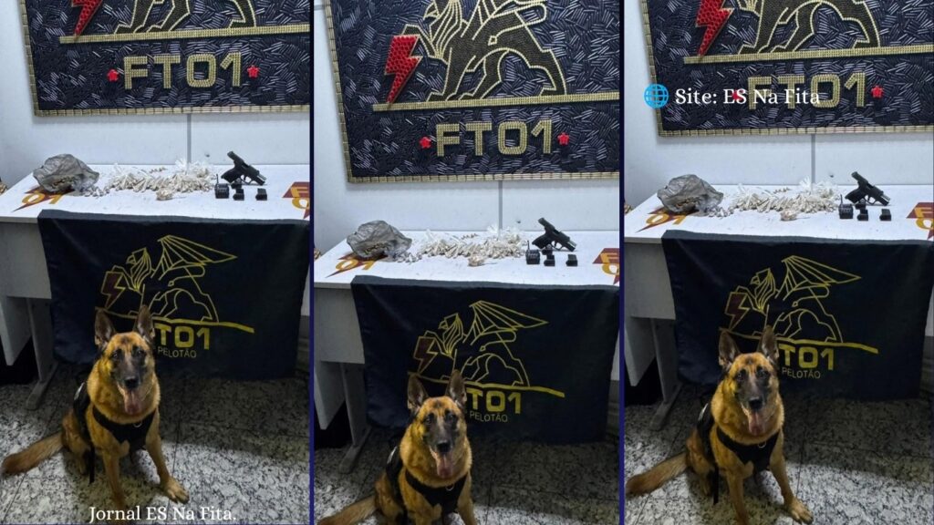 Polícia Militar encontra pistola, drogas e rádio comunicador escondidos em túmulo de cemitério em Vitória Drogas, armas, munições e rádio comunicador são encontrados dentro de túmulo em cemitério de Vitória.