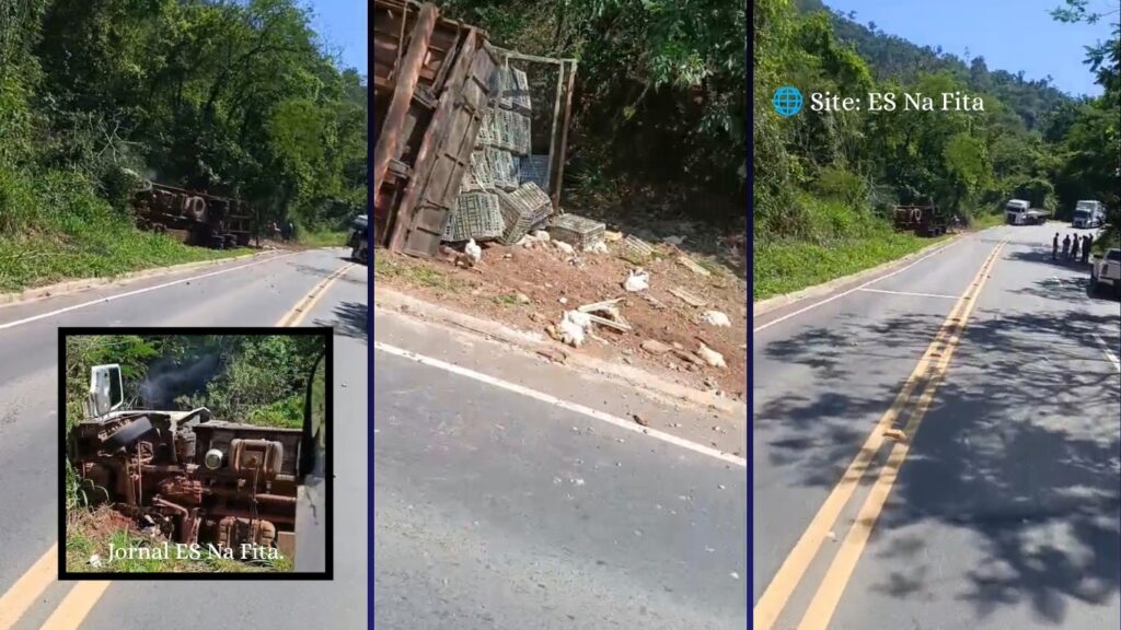 Caminhão com carga de galinhas tomba às margens de rodovia em Castelo.